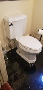 Image of a premium toilet installed by Honey Bee Plumbing, featuring an ADA height.