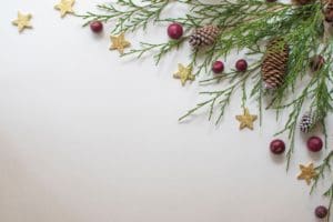Festive holiday image featuring Christmas pine, pine cones, and decorations on a matte background