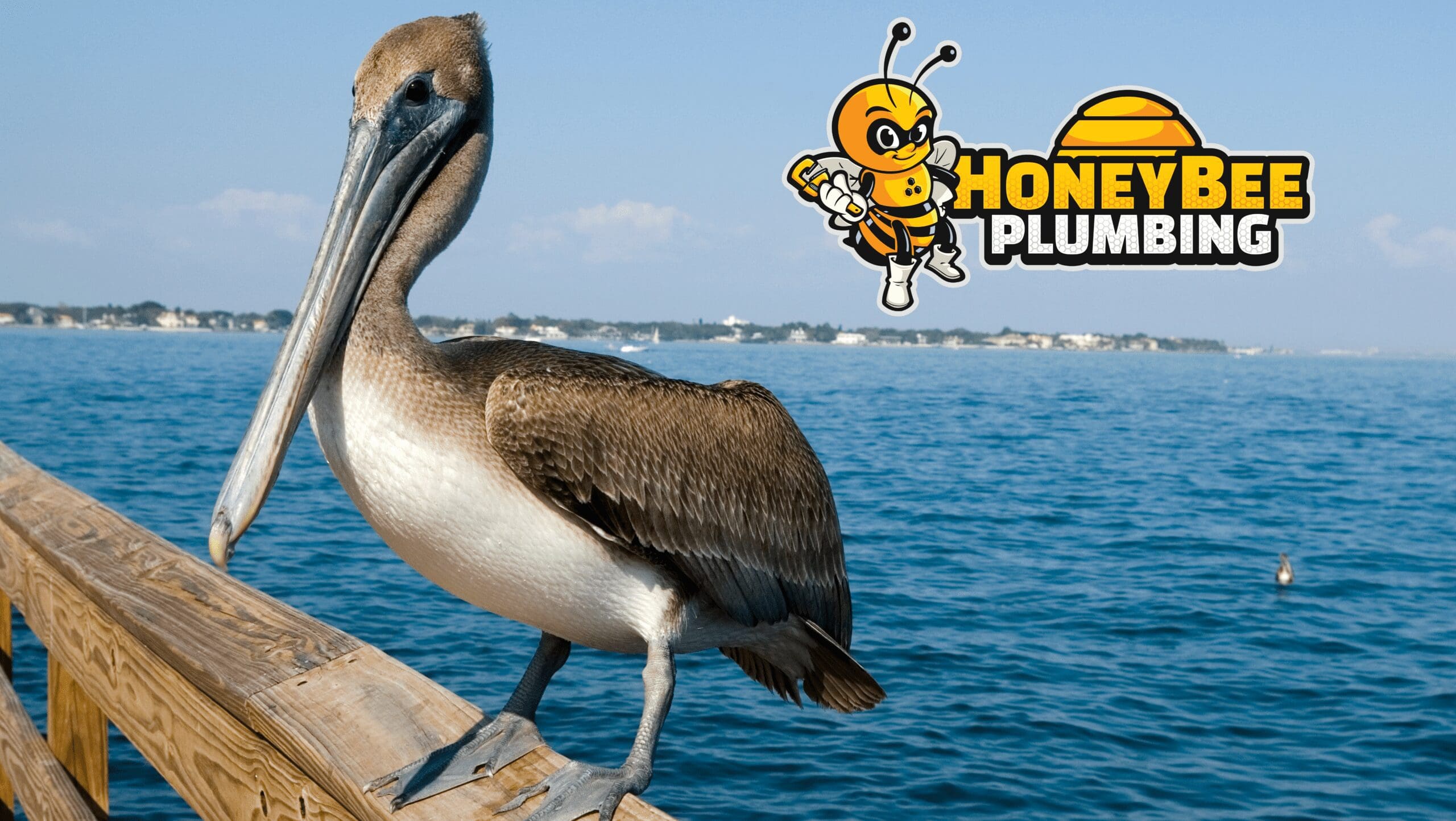 Pelican on a wood handrail overlooking a bay in Northwest Florida