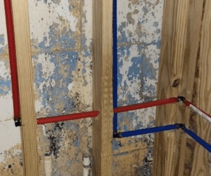 Red and Blue PEX Lines - Honey Bee Plumbing Red and Blue PEX Lines