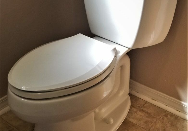 Image of an ADA compliant elongated American Standard toilet installed by Honey Bee Plumbing in a Pace, Florida home.