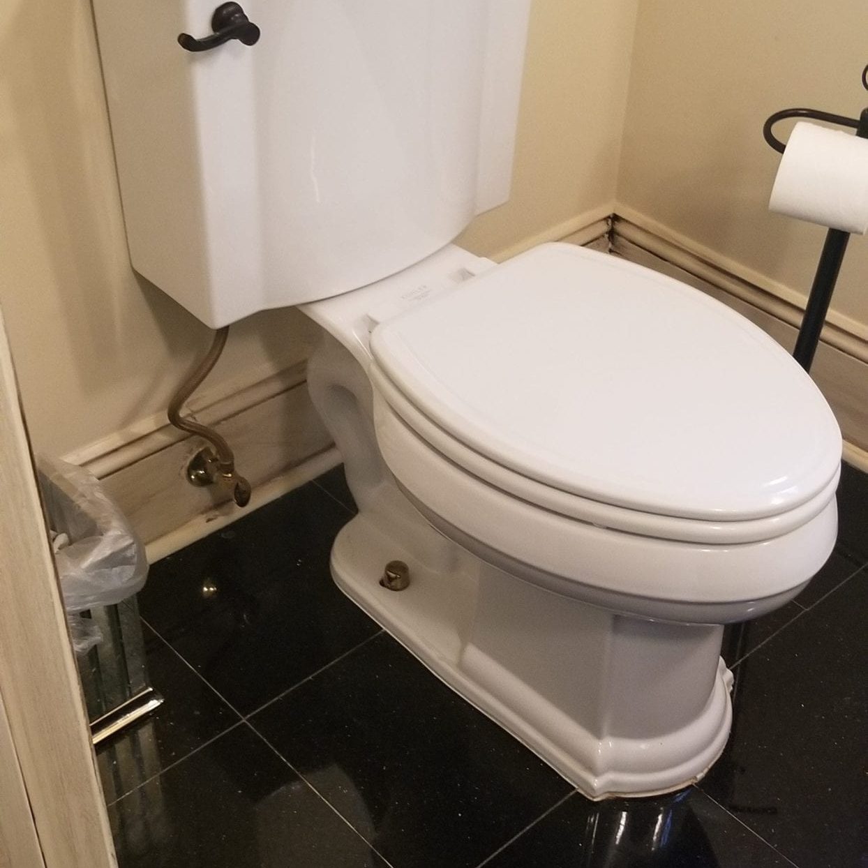 Premium and Comfortable: ADA Height Premium Toilet Installed by Honey Bee Plumbing Image of a premium toilet installed by Honey Bee Plumbing, featuring an ADA height.