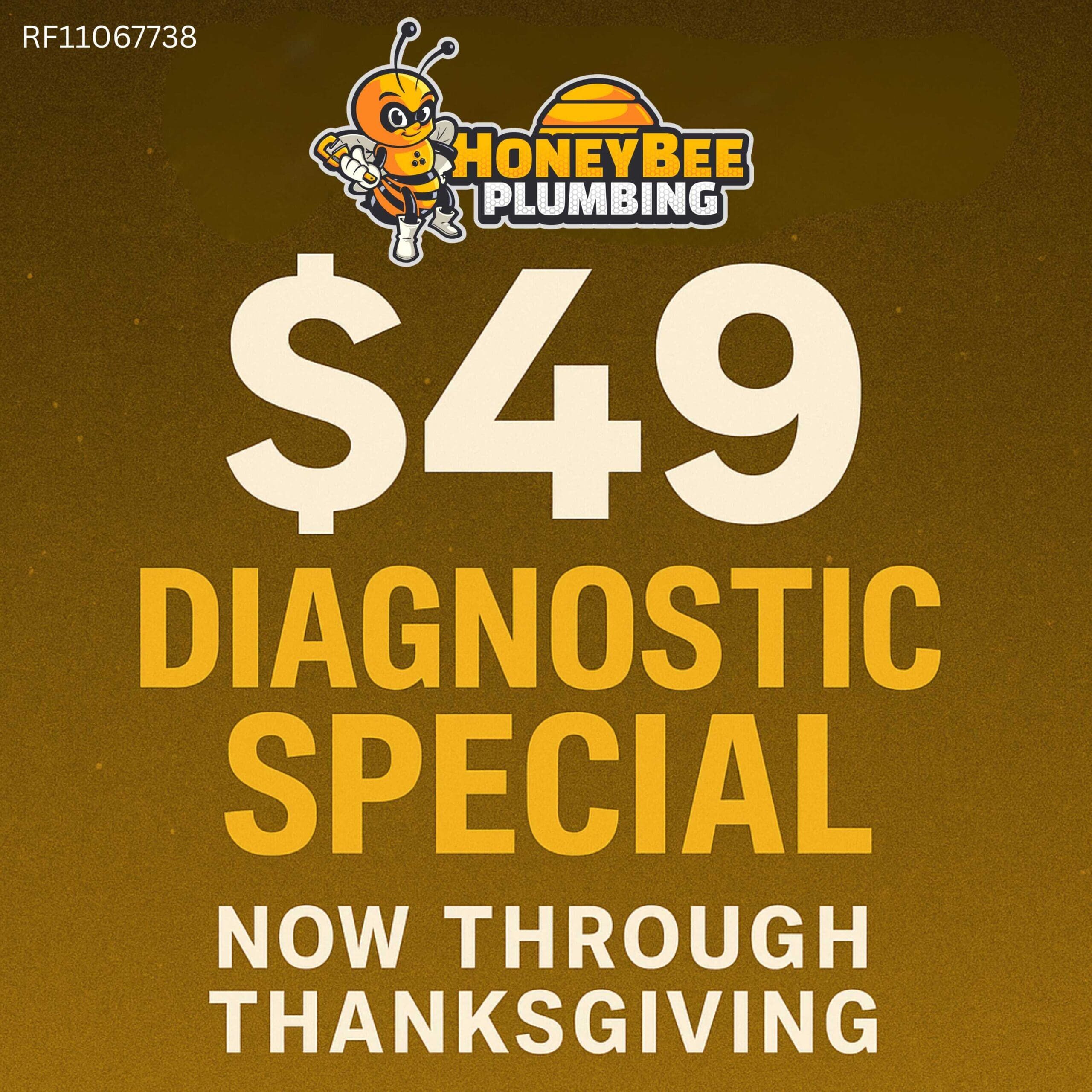 $49 Diagnostic Special from Honey Bee Plumbing—holiday plumbing discount available now through Thanksgiving. Local licensed plumber RF11067738 serving Santa Rosa, Escambia, and Okaloosa counties.