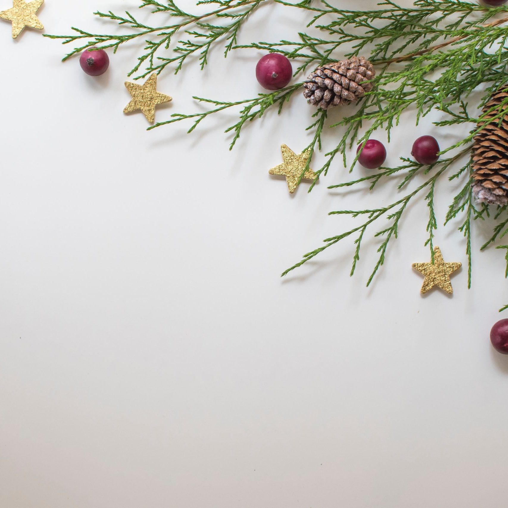 Festive holiday image featuring Christmas pine, pine cones, and decorations on a matte background